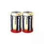 Panasonic Alkaline Pro Power LR20PPG - 2 x D-batterijen