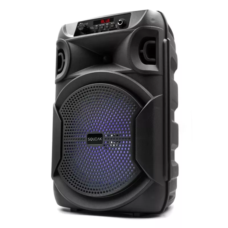 BLUETOOTH SPEAKER 5.3 E DR PULSETOWER SQ1006