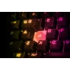 Steelseries APEX 3 TKL toetsenbord USB QWERTY US English zwart