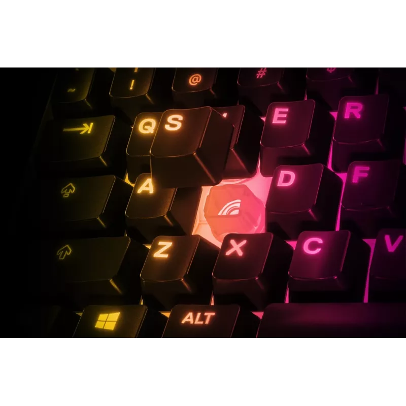 Steelseries APEX 3 TKL toetsenbord USB QWERTY US English zwart