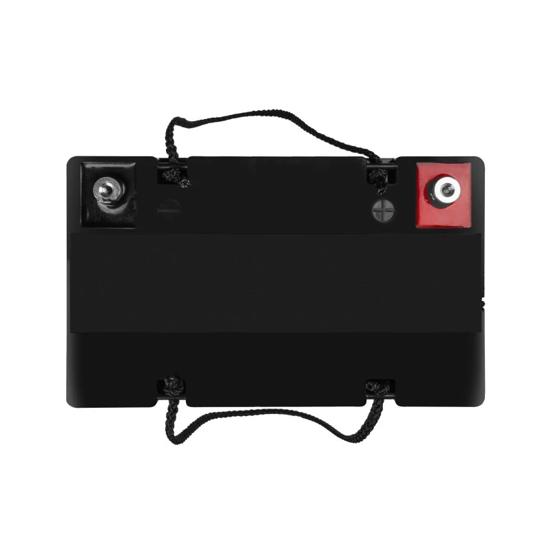 Batterij AGM VRLA 12V 55Ah IP54
