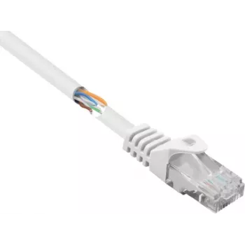 Renkforce RF-5043828 Ethernet-patchkabel wit