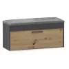 Gesloten schoenenkast Top e Shop PARMA — antraciet en eiken, spaanplaat, 1000×490×350 mm