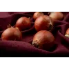 Wolska Onion Toraf groentezaden, 5g pakket