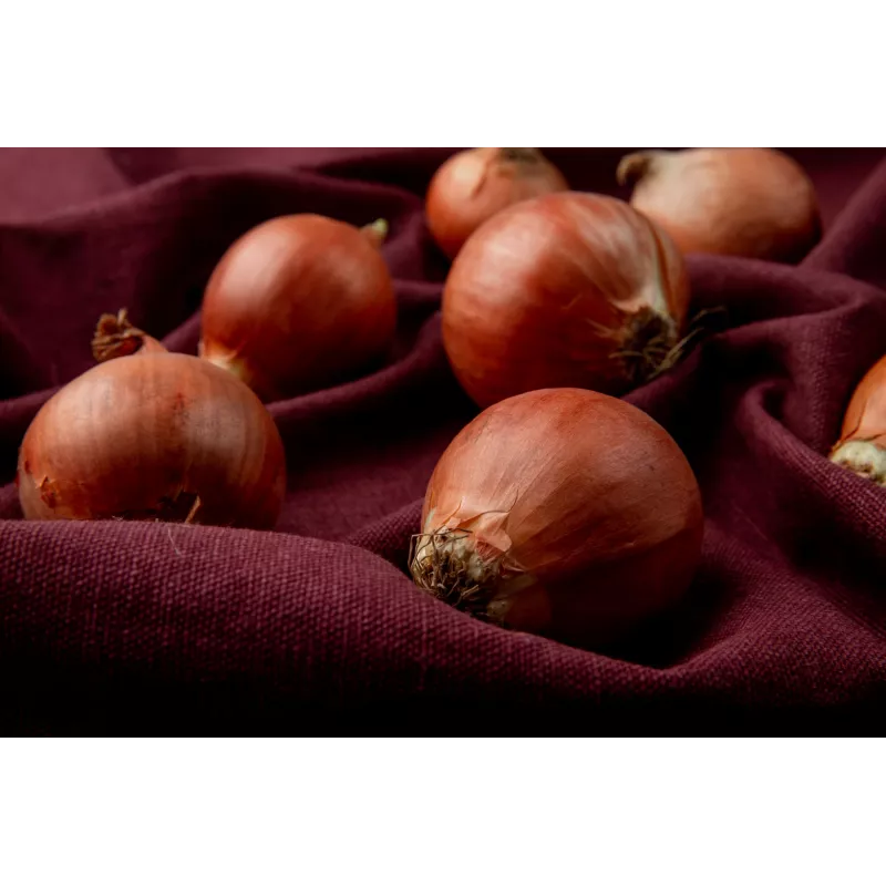 Wolska Onion Toraf groentezaden, 5g pakket