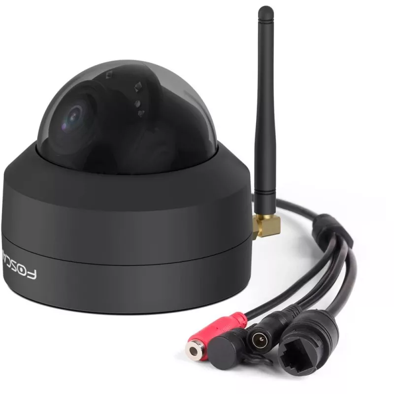 Foscam D4Z gloeilamp-IP-beveiligingscamera binnen & buiten 2304 x 1536 pixel plafond