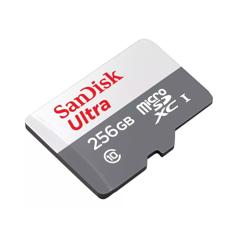 Flashgeheugen SanDisk 256 GB MicroSDXC UHS-I SDSQUNR-256G-GN6TA