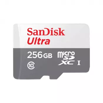 GEHEUGEN MICRO SDXC 256GB UHS-I/SDSQUNR-256G-GN3MN SANDISK