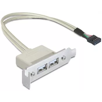 Slotbeugel USB 2.0 DeLOCK 0,5 m