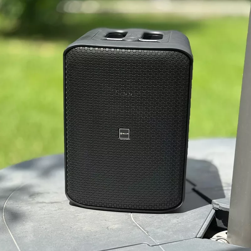 Draagbare luidspreker Tellur Bluetooth Speaker Buzz, zwart