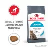 Royal Canin Urinary Care droogvoer voor katten 4 kg