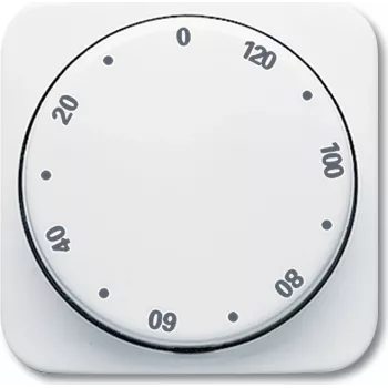Busch Jaeger 1753-0-6307 wandplaat/schakelaarafdekking wit (1753-0-6307)