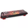 Ducky One 3 SF Doom Limited Edition toetsenbord, gaming, USB, QWERTY, meerkleurig