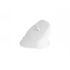 NATEC Crake 2 muis, universeel, voor rechtshandigen, RF Wireless + Bluetooth, optisch, 2400 DPI