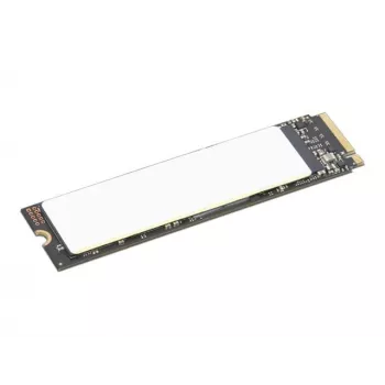 Lenovo 4XB1M86955 interne solid-state-drive 1 TB M.2 PCI Express 4.0 NVMe