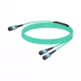 Netwerkkabel Nvidia MFP7E20-N010 InfiniBand 10 m MPO 2x MPO Blauw