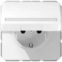 Inbouwdoos JUNG CD 1520 BFNAKL WW Schuko type F 16A 250V Wit