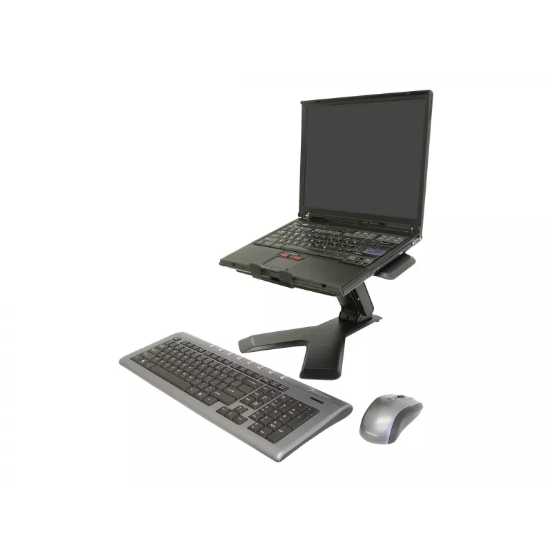 Laptopstandaard Ergotron Neo-Flex™ Notebook Lift Stand zwart