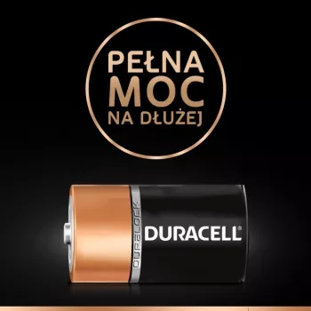 Duracell Basic D (R20) batterij — 2-pack, primaire zink-koolstofcellen