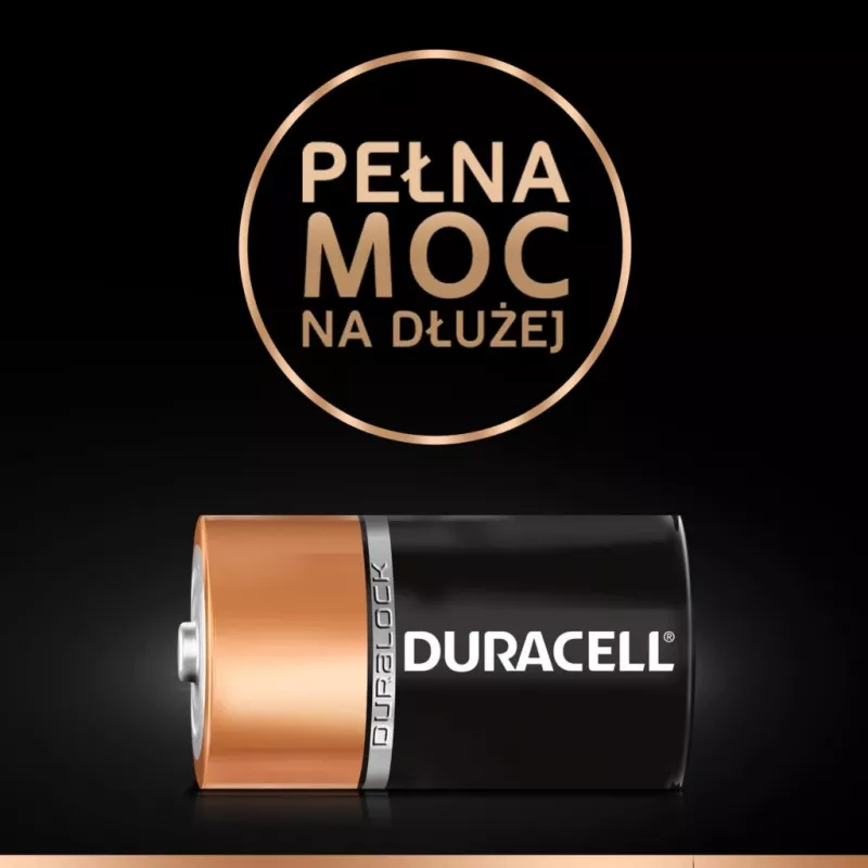 Duracell Basic D (R20) batterij — 2-pack, primaire zink-koolstofcellen