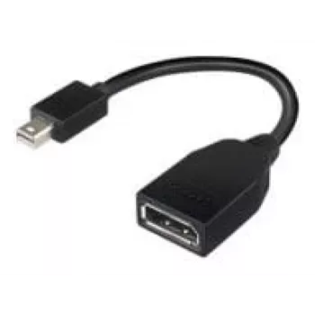 Lenovo 4X90L13971 DisplayPort-kabel Mini DisplayPort zwart