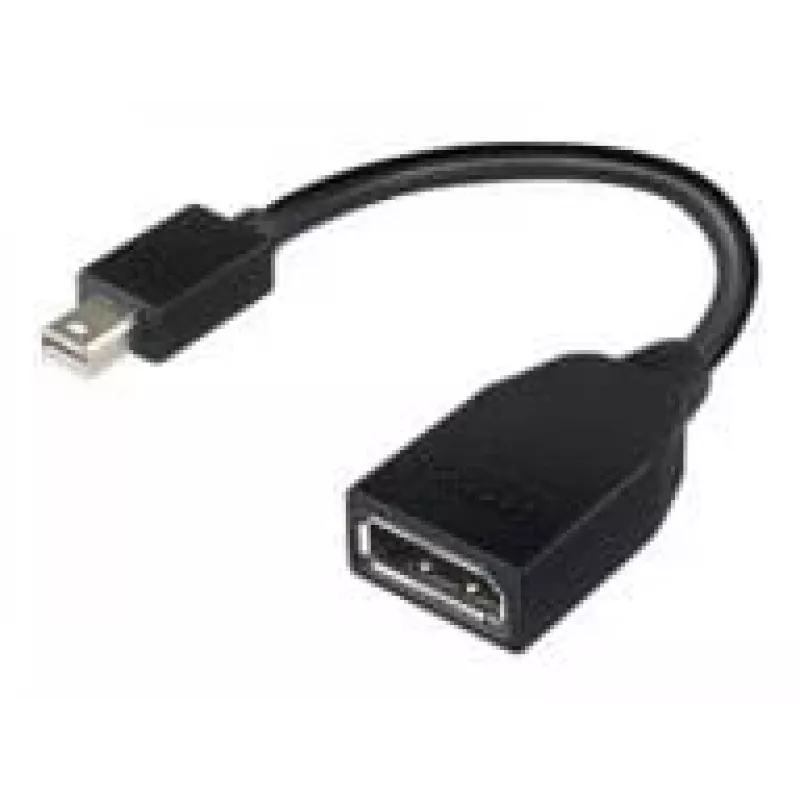 Lenovo 4X90L13971 DisplayPort-kabel Mini DisplayPort zwart