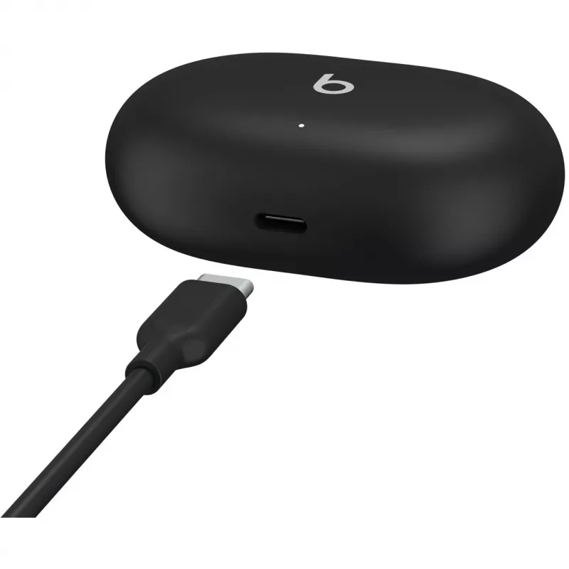 Beats Studio Buds – true wireless noise cancelling oordopjes – zwart, A2512 A2513 A2514