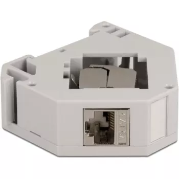 Delock - modulaire adapter - DIN-rail monteerbaar - CAT 6a - STP - grijs - 1 aansluiting (86014)