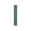 Band Apple MFTH4ZM/A smartwatch-accessoire Blue Titanium