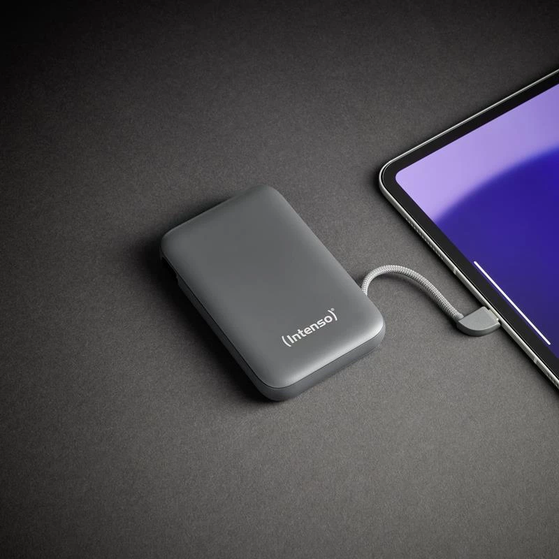 Powerbank USB 10000 mAh/grijs S10000 7333034 Intenso