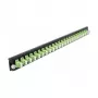 DeLOCK 19 inch lasdoos-frontplaat 43362 24 poort LC Duplex limoengroen