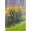 GARDENA sproeislang 7,5 m (1995-20)