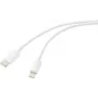 Renkforce USB-kabel USB 2.0 USB-C®-stekker, Apple Lightning-stekker 1,00 m wit (mat) RF-5724078 (RF-5724078)