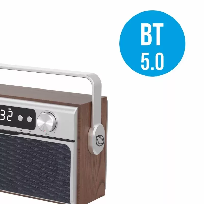 Draagbare radio MANTA RDI917PRO met bluetooth en USB-weergave