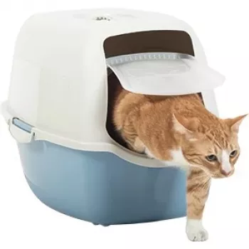 Kattenbak met kap Rotho Bailey 560×400×390 mm, blauw/wit, koolstoffilter, handgreep, klapdeur