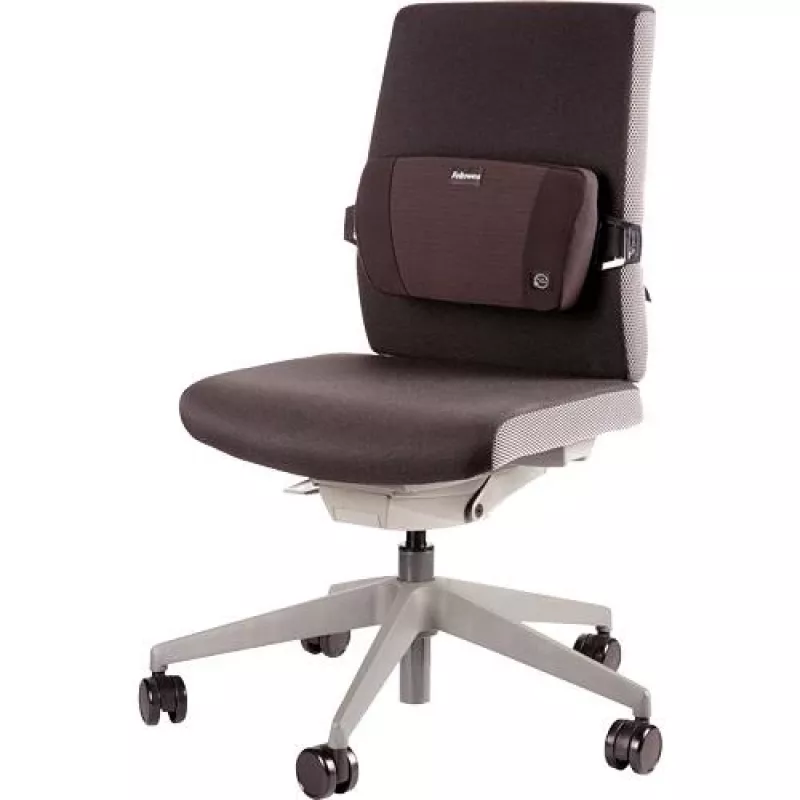 Stoelrugsteun PlushTouch/Lumbar 8026501 FELLOWES