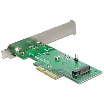 Interne M.2-adapter DeLOCK 89370