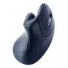 Gembird MUSW-ERGO-03 muis thuis rechtshandig RF draadloos optisch 1600 DPI