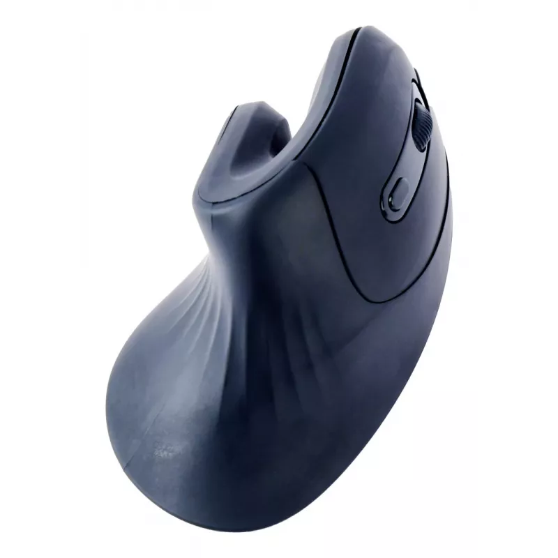 Gembird MUSW-ERGO-03 muis thuis rechtshandig RF draadloos optisch 1600 DPI