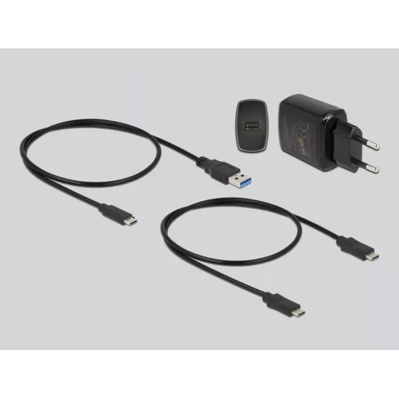 DeLOCK M.2 dockingstation voor 2 x M.2 NVMe PCIe SSD met kloonfunctie