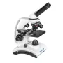 Doorlichtmicroscoop Deltaoptical DO-3330 — BioLight 300, tot 300x vergroting, LED-verlichting