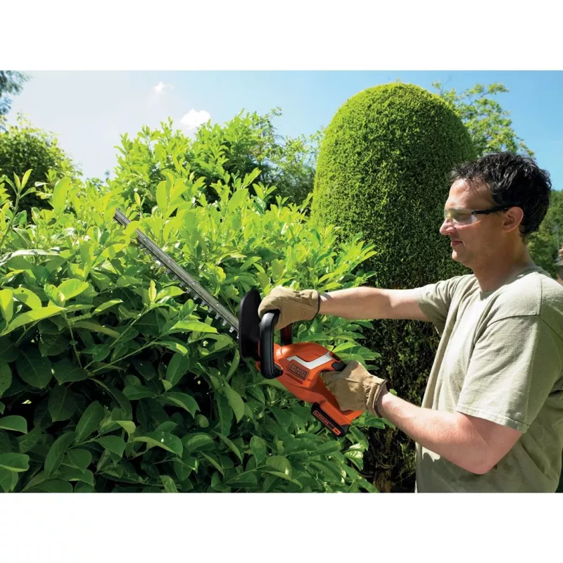 Black & Decker GTC1845L20 accu-heggenschaar dubbel mes 2600 g (B667995)