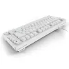 Sharkoon SGK25 75% QWERTZ USB bedrade RGB LED toetsenbord wit