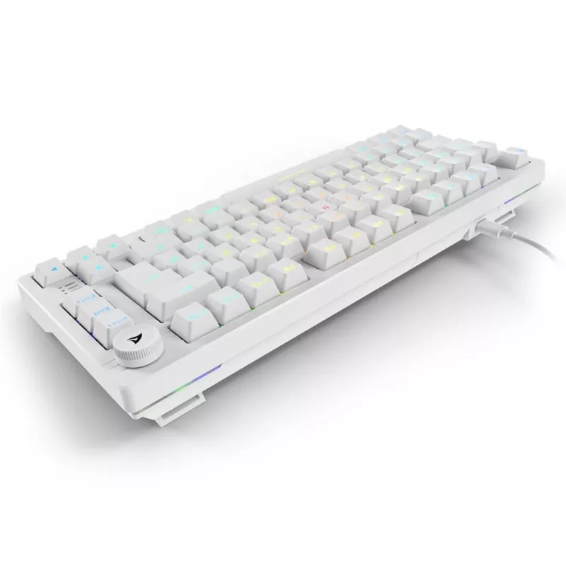 Sharkoon SGK25 75% QWERTZ USB bedrade RGB LED toetsenbord wit