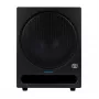 PreSonus Eris Pro Sub10 - actieve subwoofer
