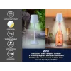 Elektrische stoomkoker Beper P201UTP124 2-traps 800 W, voedselstomer voor het aanrecht