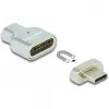 DeLOCK - Thunderbolt / USB-C-adapter - USB-C (M) magnetisch naar USB-C (V) - USB 3.2 Gen 2 / Thunderbolt 3 4,5 A - 8K-ondersteuning - zilver (66433)