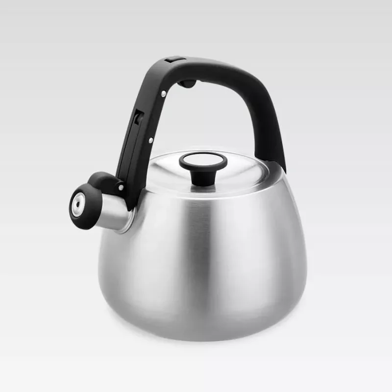 Fluitketel Maestro MR-1318 2,5 l, zilver, zwart