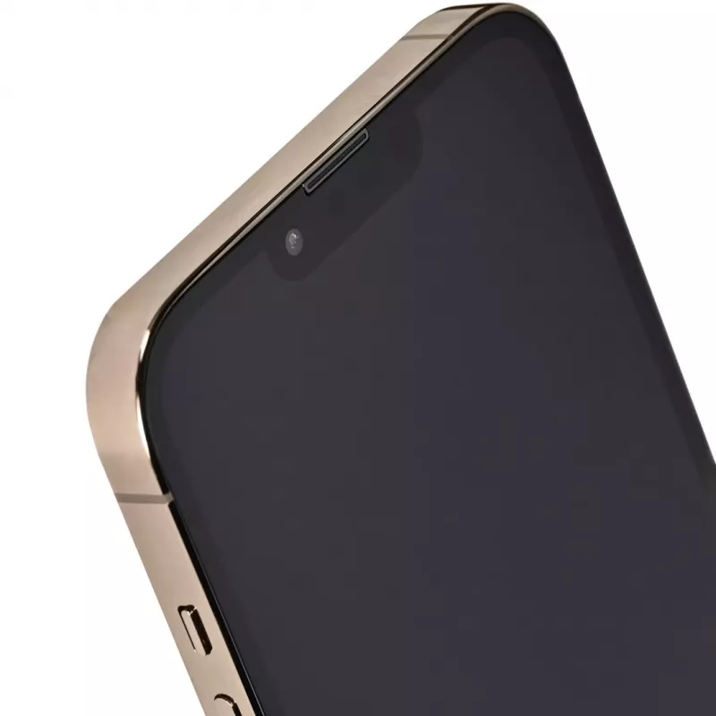 Apple iPhone 13 Pro Max 6,7 Dual SIM iOS 15 5G 256 GB goud gereviseerd / refurbished