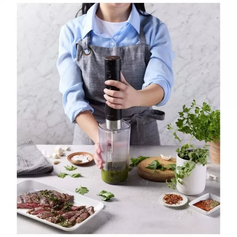 Handblender Zwilling XTEND 1029302